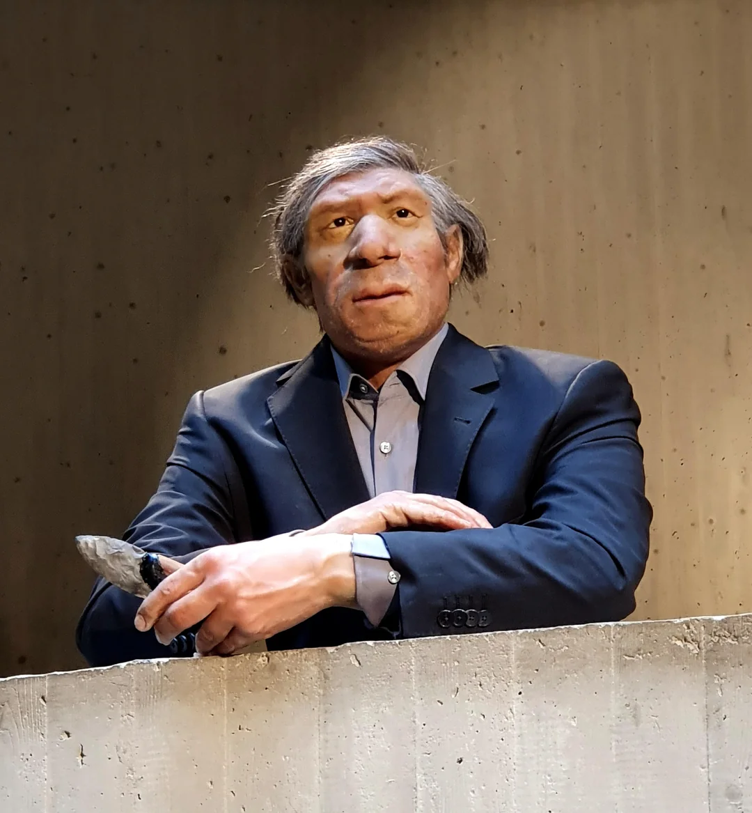 Neanderthal reconstructed in modern business attire